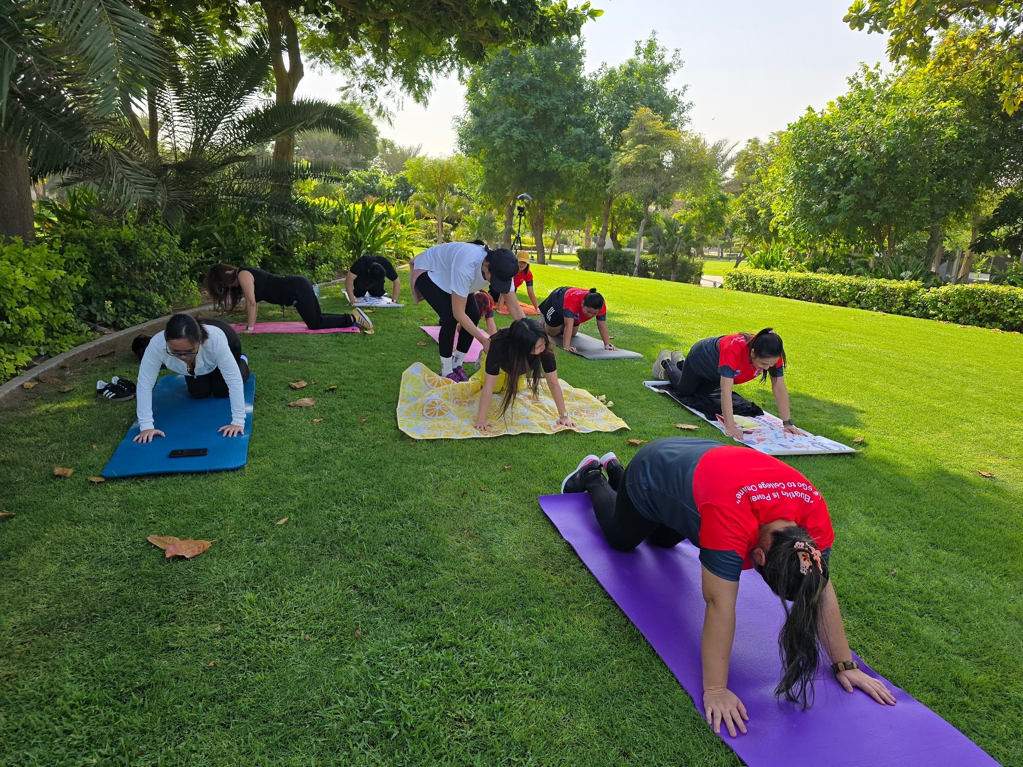 A group stretching on yoga mats in a grassy park